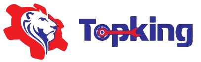 Logo of TopKing Africa